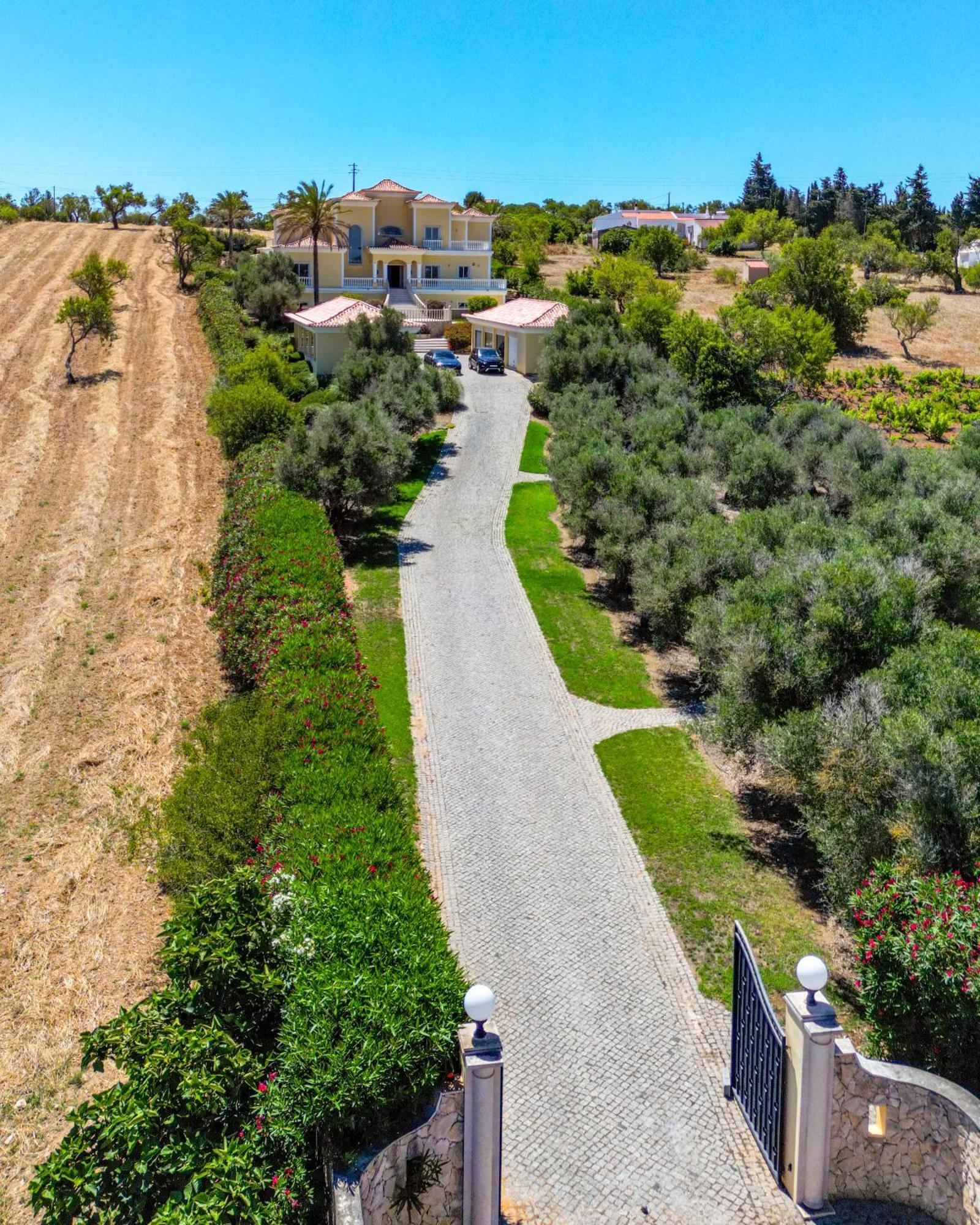 Villa Casa Ferrel Lagos